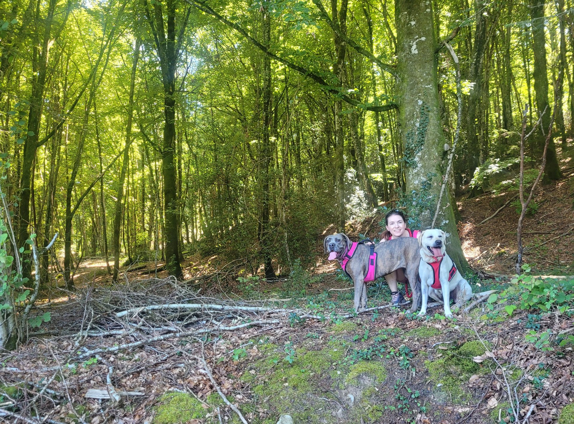 Julie et ses deux chiens en vacances dans le Cantal