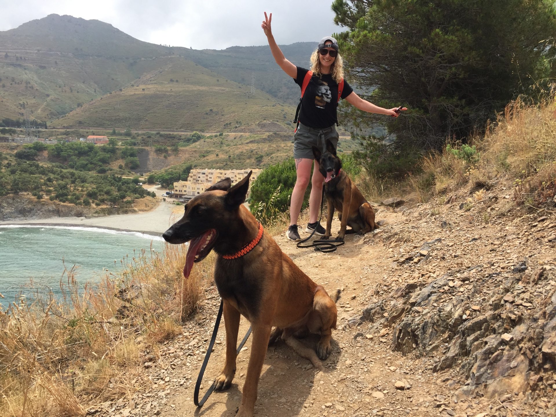 Languedoc-Roussillon de van com seu cachorro: entre mar, rio e montanha