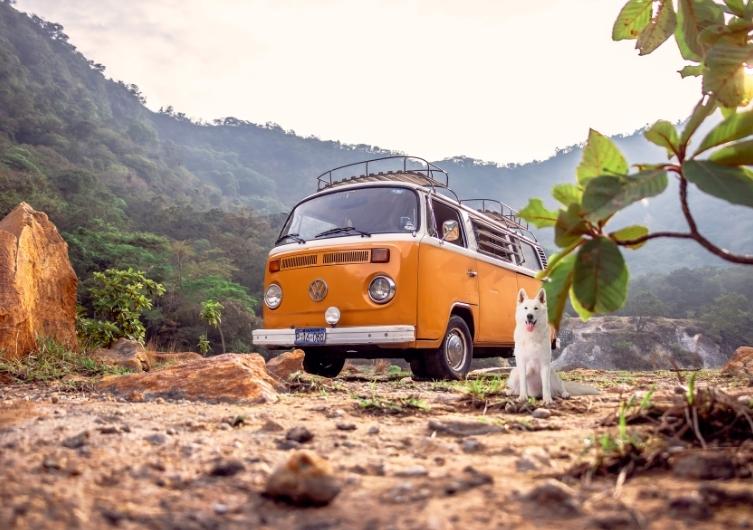 CONTEST: Win a stay in a van with your dog!