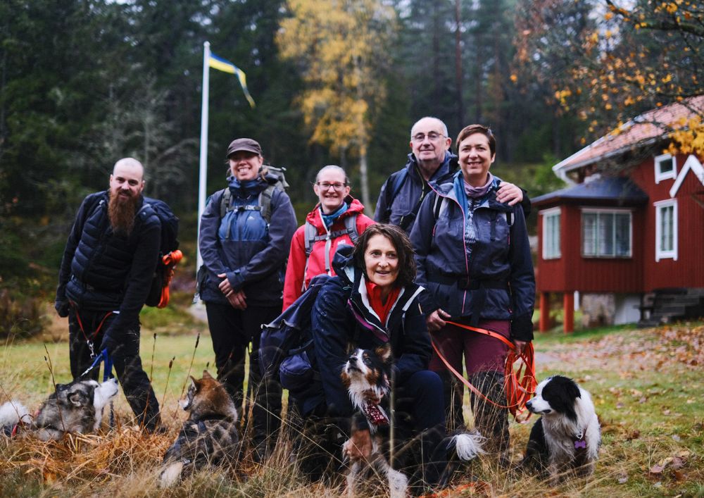 Découvrir la Suède avec son chien lors d’un séjour organisé inoubliable !