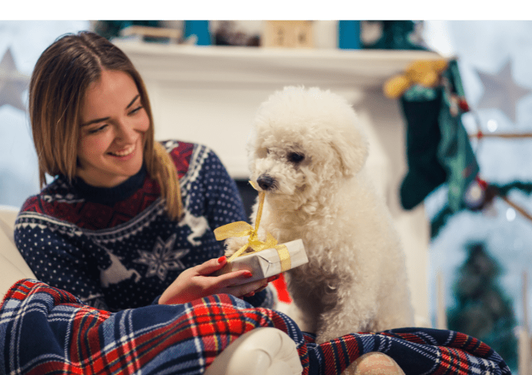 Top 10 idées cadeaux de Noël pour chien