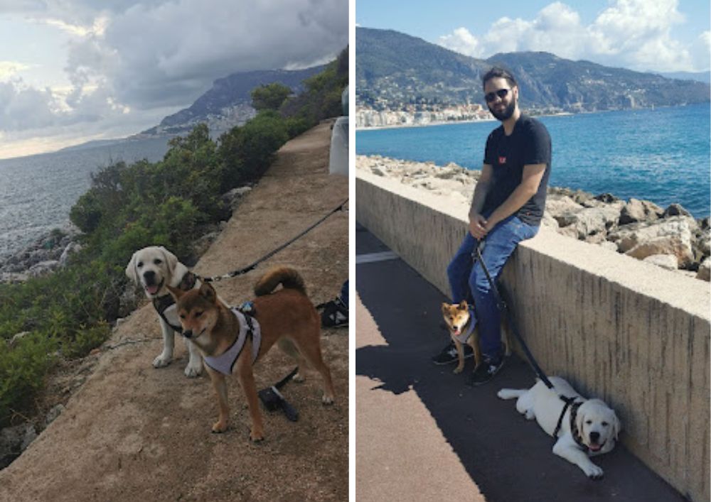 Partir en vacances en Côte d'Azur avec son chien