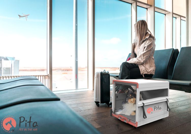 PITA : la première caisse de transport connectée pour prendre l’avion avec son chien