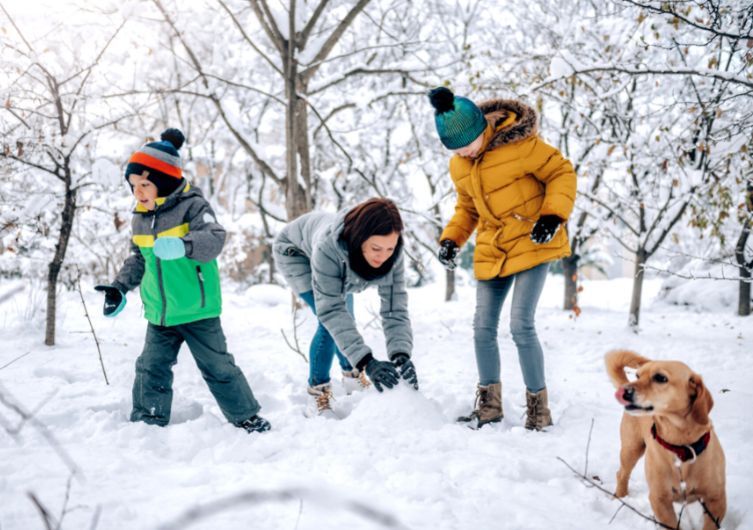 Vacances à la neige avec son chien, 5 dangers à éviter absolument !