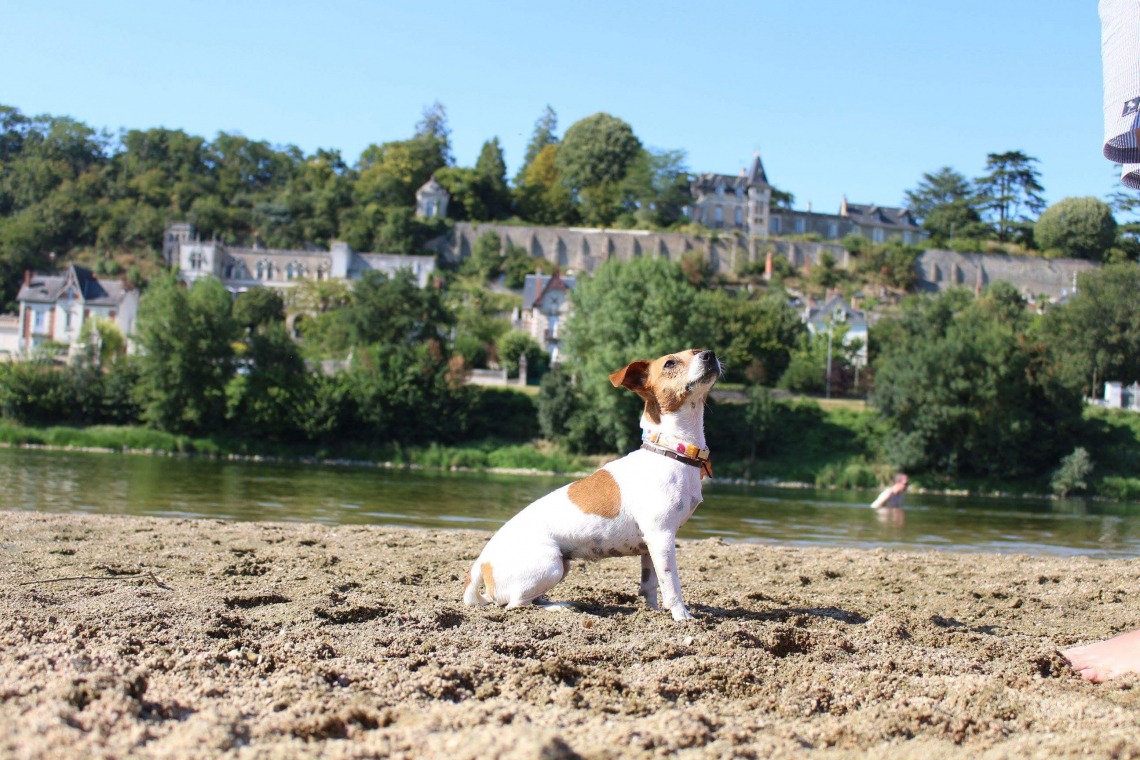 Parc de L’île de la Métairie