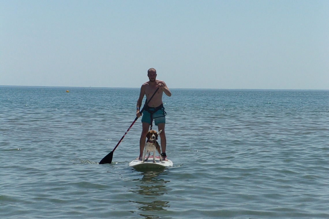 Cani-Paddle – École de voile Plage Ouest