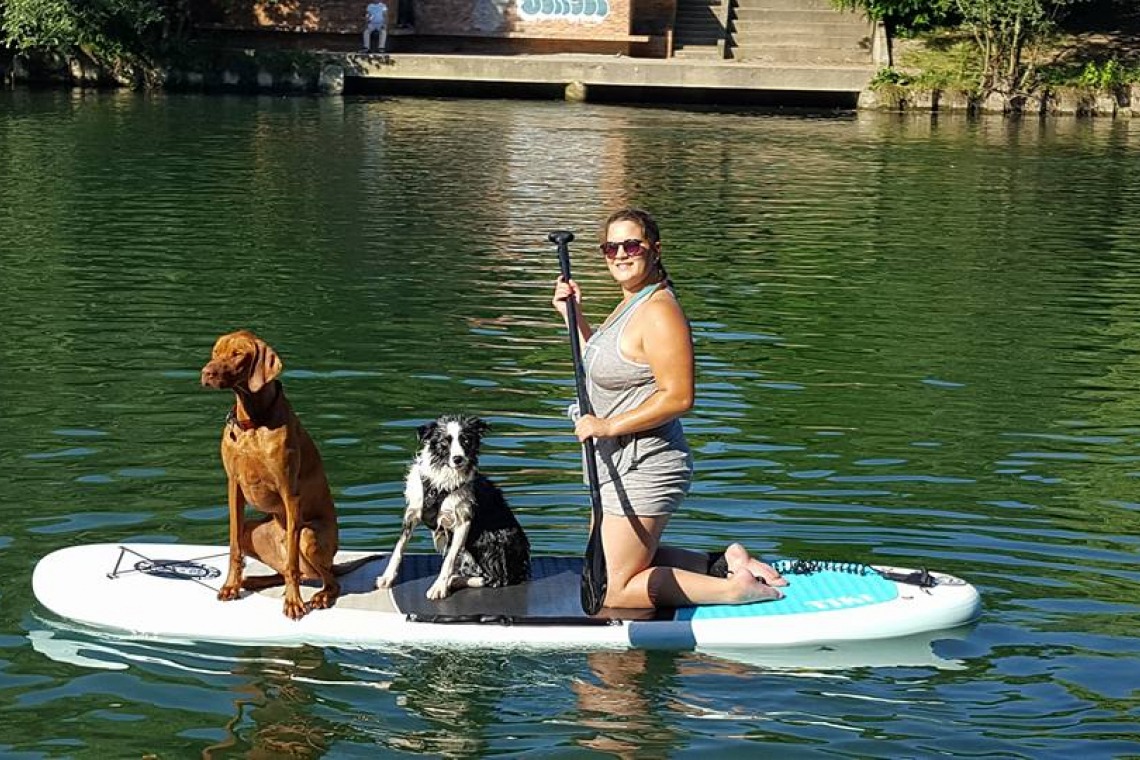 Beach Paddle