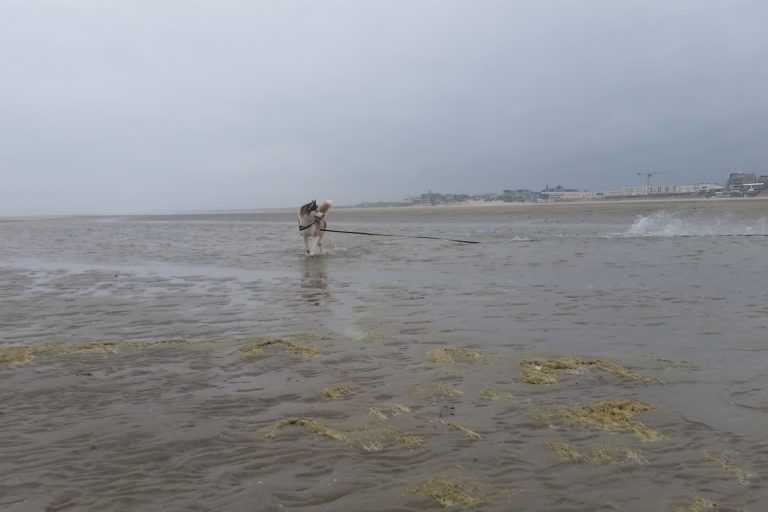 Plage de Saint-Valery-sur-Somme – photo 1