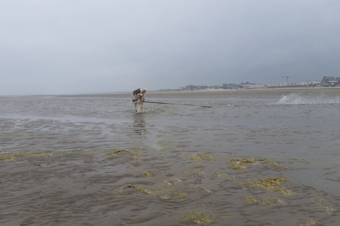 Plage de Saint-Valery-sur-Somme