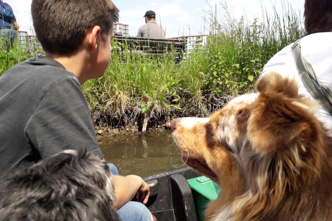 Visite des Hortillonages en barque