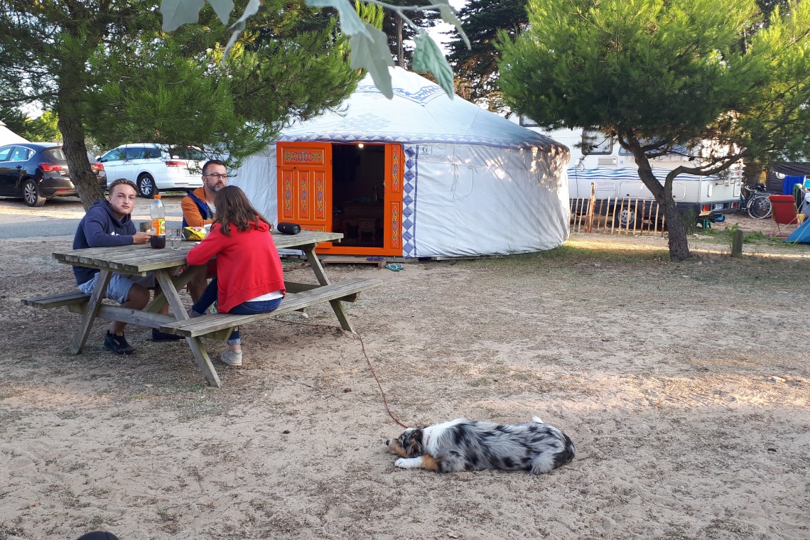 Camping La côte sauvage