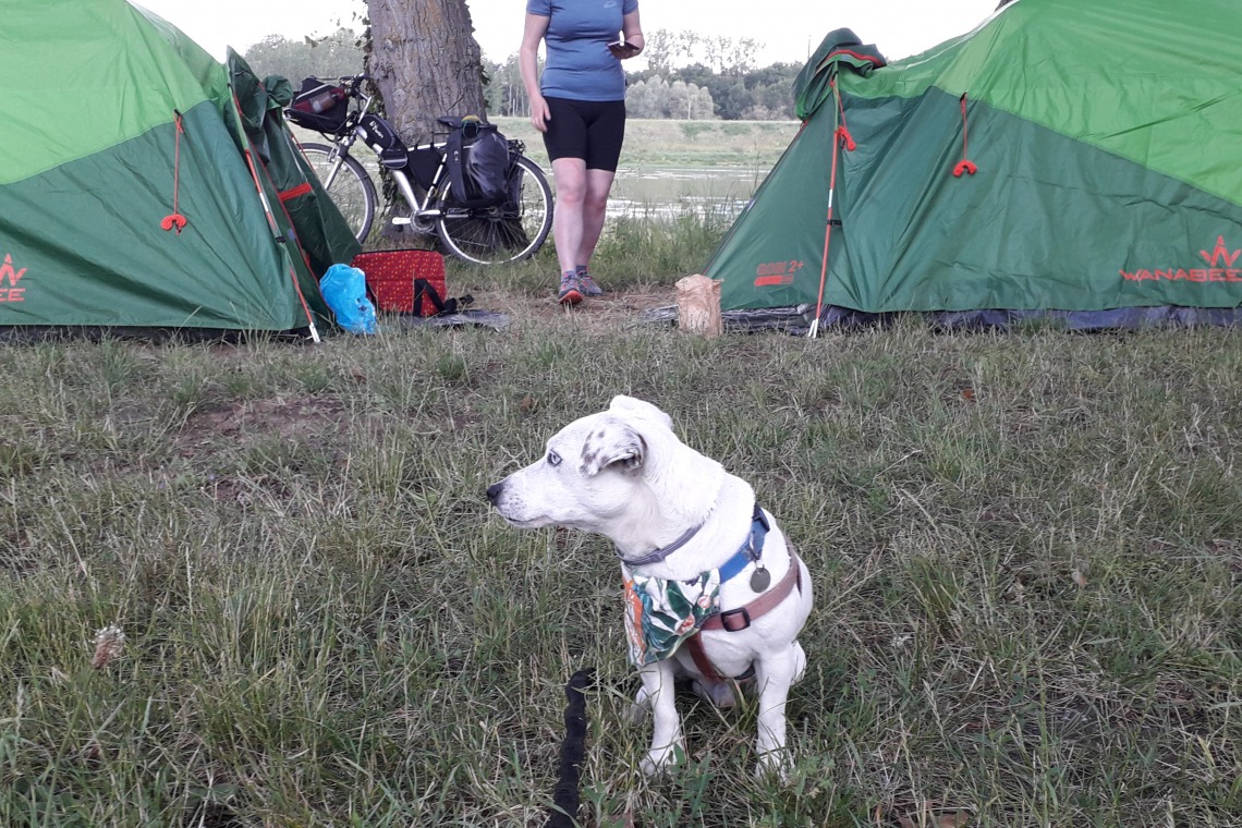 Camping municipal de l’ile d’or