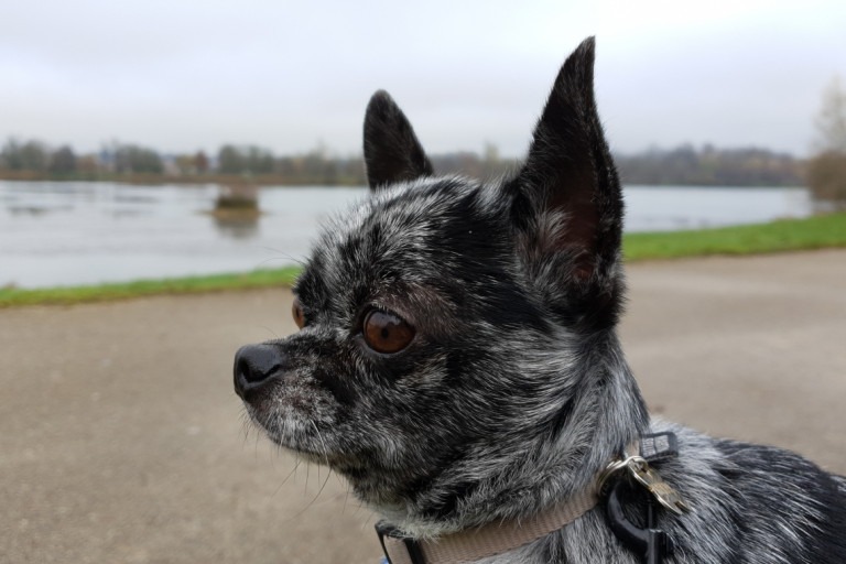 Parc de loisirs de Bouvent – photo 1