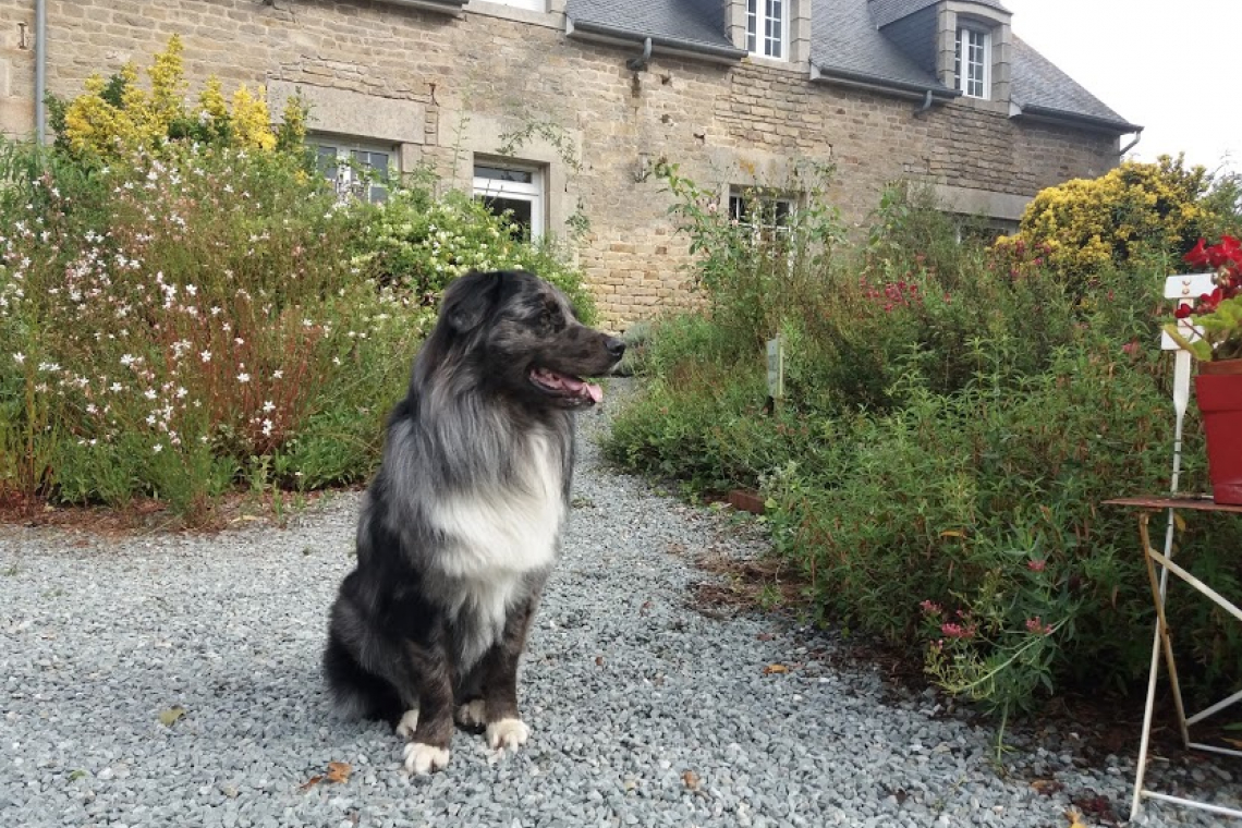 Gîte et Chambres d’hôtes Trouga
