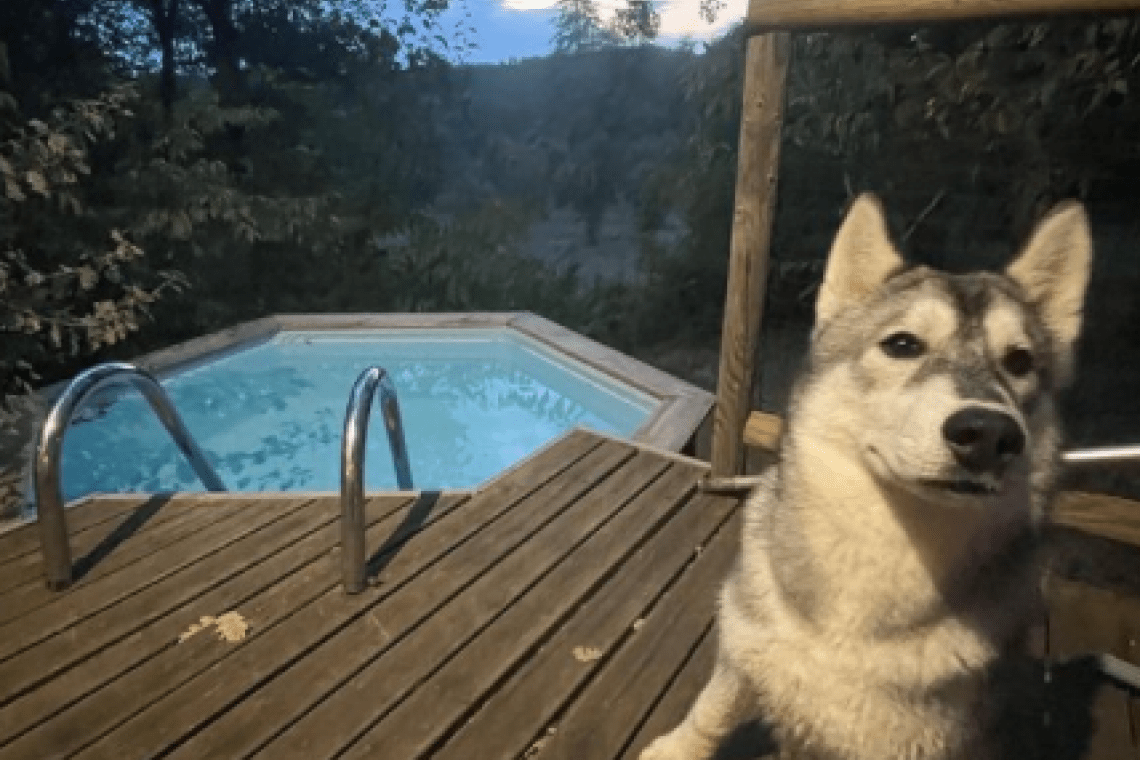 Chalets les Hautes de Brugères