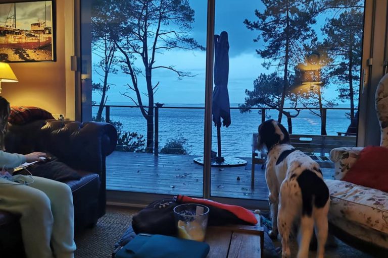 vacances, mer, Bretagne, Finistère, chiens, calme, nature, gîte, location