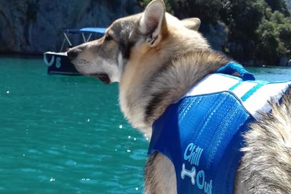 Pédalo au lac d’Esparron avec La perle du Verdon