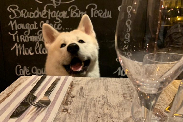 Restaurant la Table de Lucie – photo 1