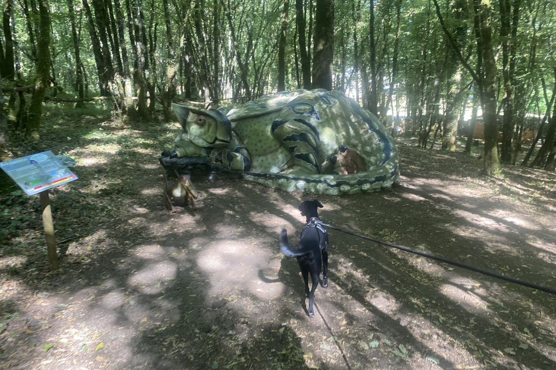 Parc aux Dinosaures