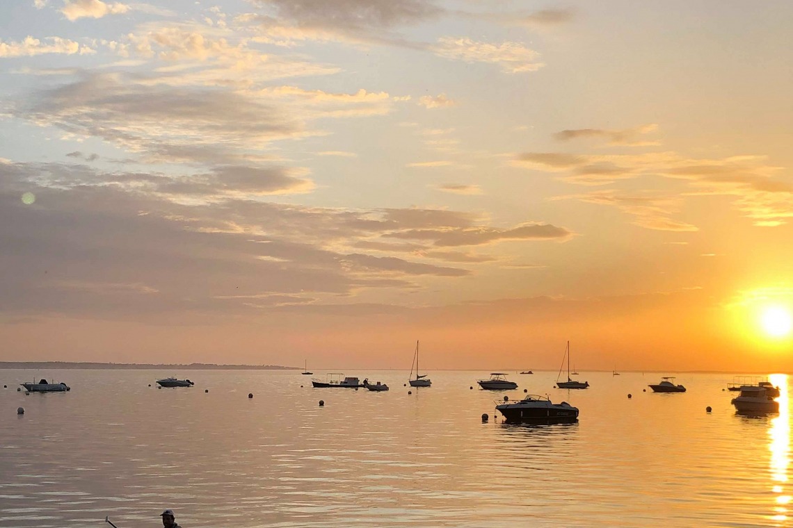 Spot de cani-paddle sur le bassin d’Arcachon