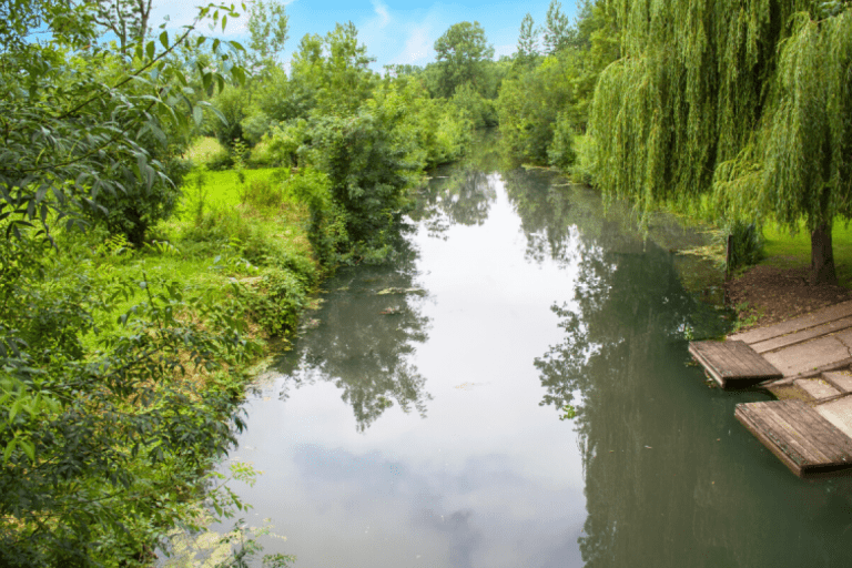 Auberge de la rivière – photo 1