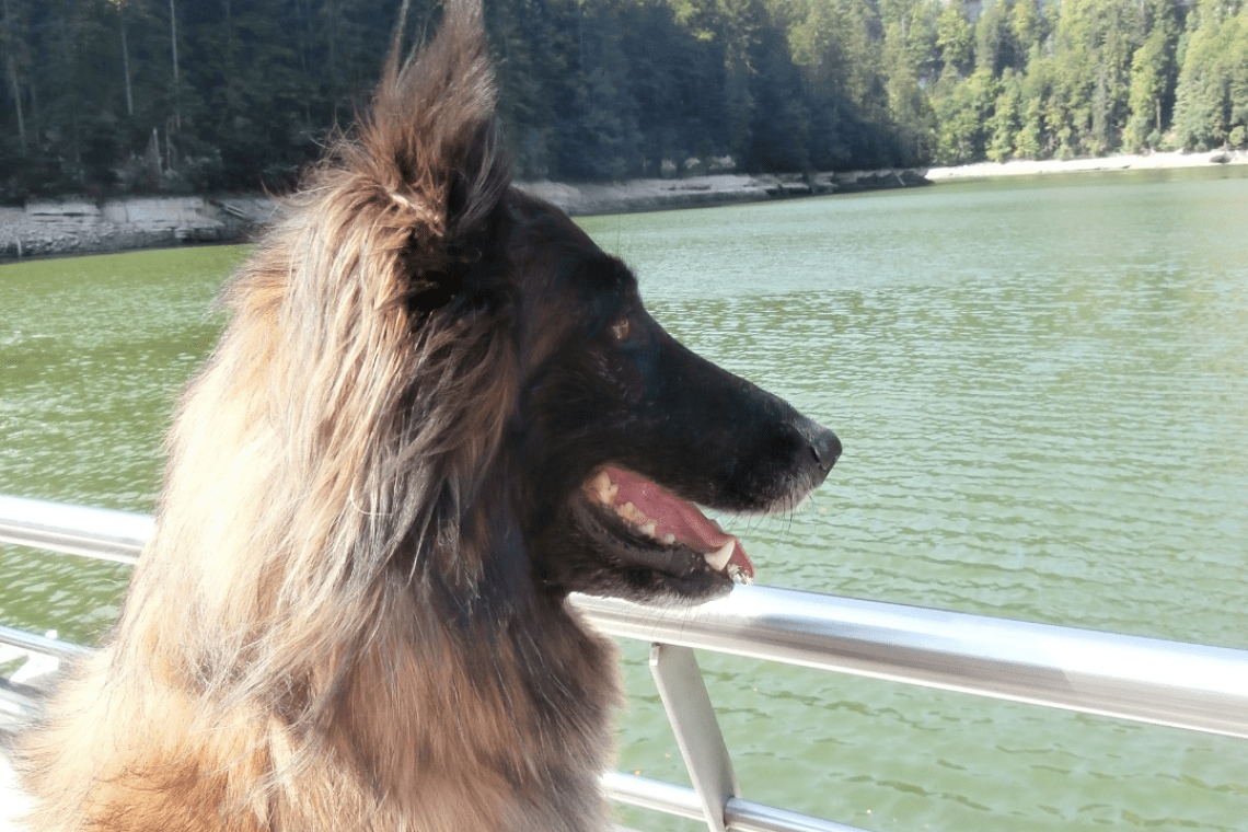 Bateau du saut du Doubs