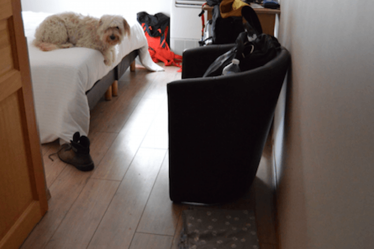 Hotel les 2 Rives – photo 1