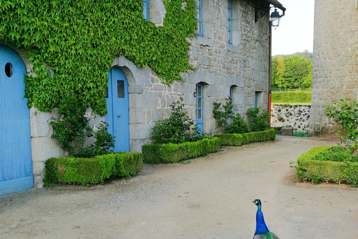 Gîtes du Château de Saint-Maixant