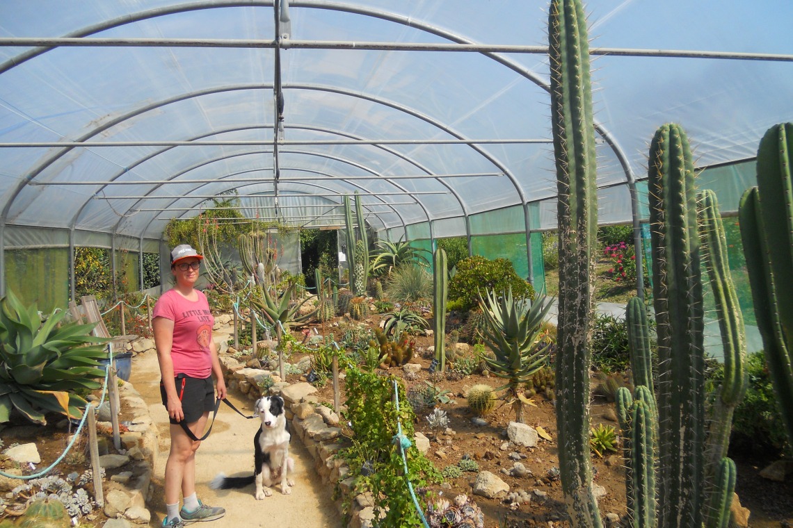 Le Jardin Exotique de Roscoff