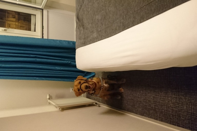 Hotel du Port – photo 1