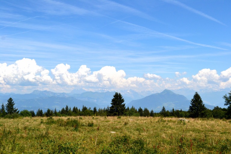 L’Observatoire – photo 1