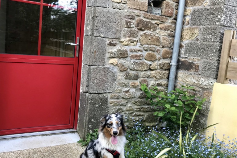 Les gîtes d’Hellen – photo 1