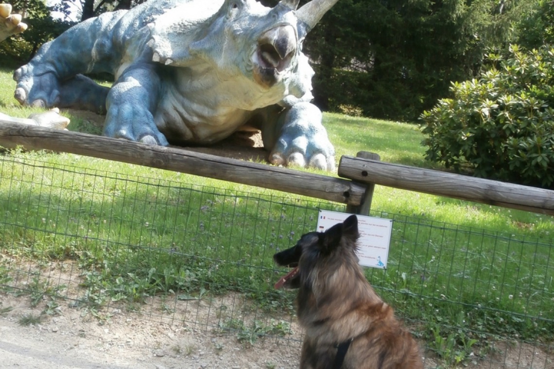 Dino-Zoo