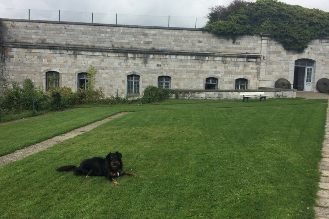 Fort de Huy