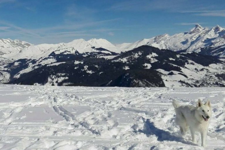 Station La Clusaz – photo 1