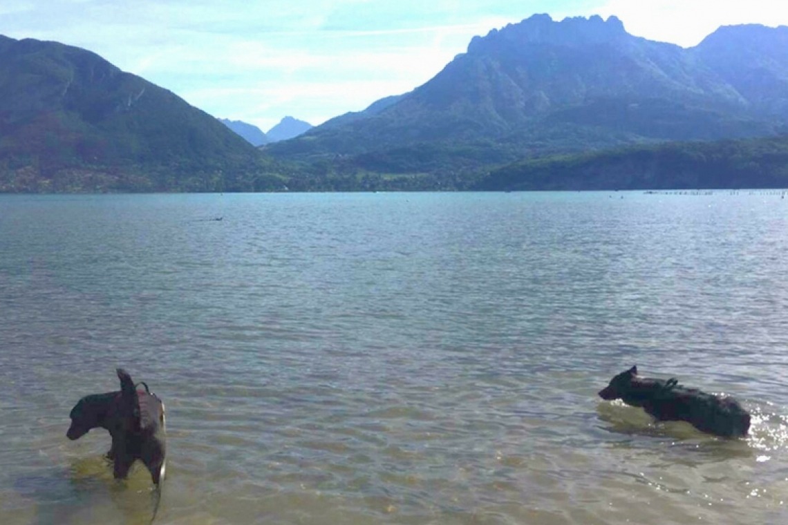 Camping l’Aloua