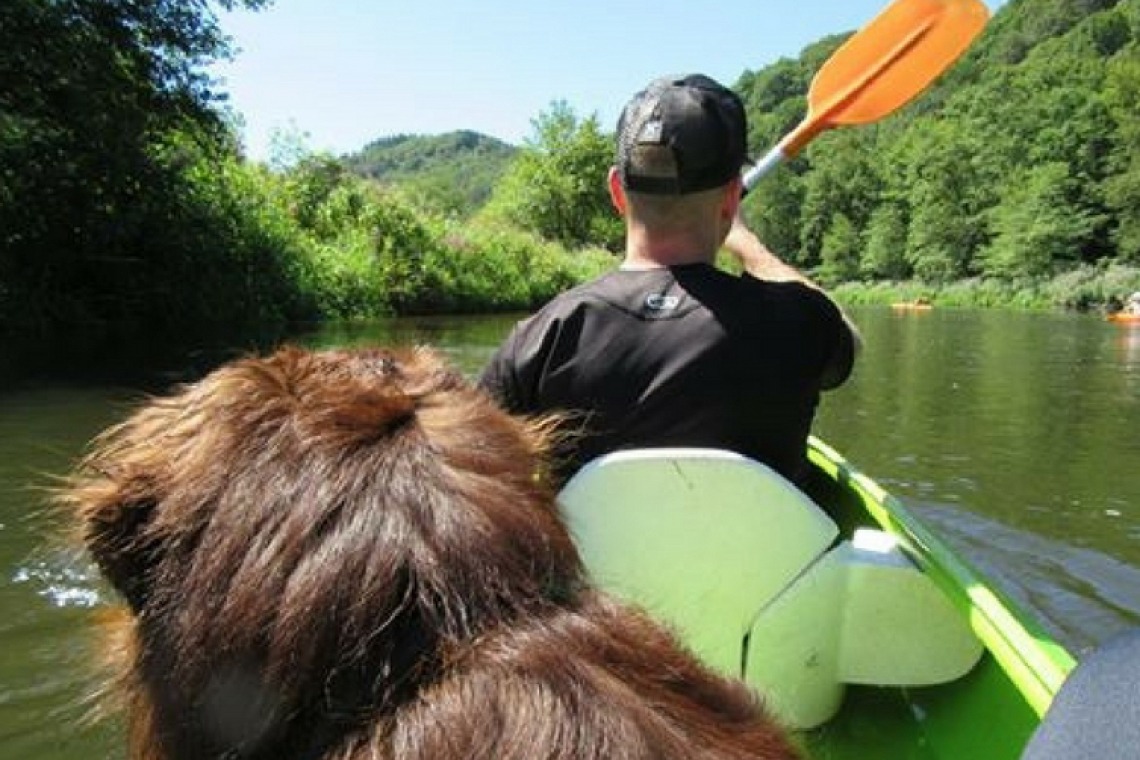 Kayak chez Semois-Kayaks