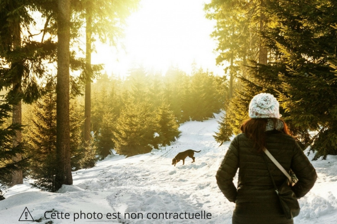 Ski-joering – Station de ski La Féclaz