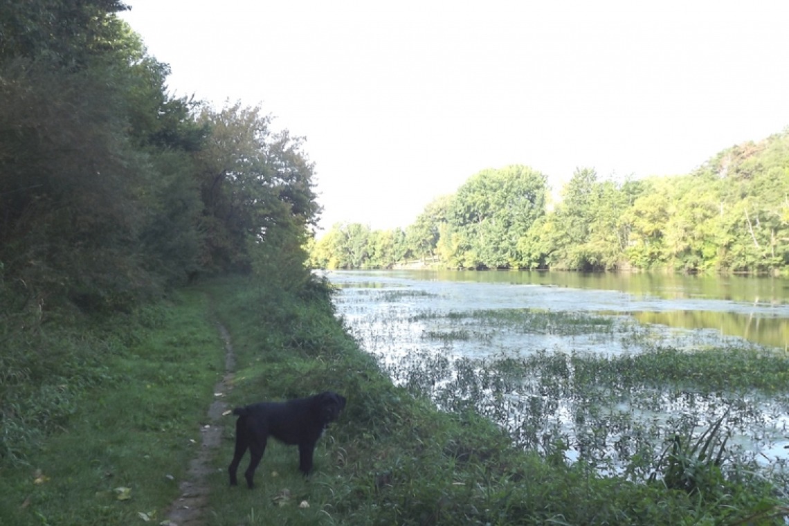 Les Pierres d’Aurèle