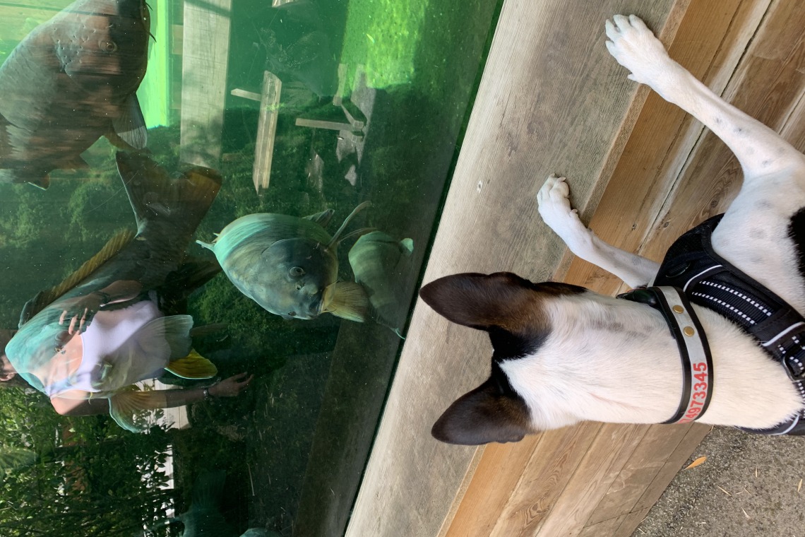 Aquarium Amnéville