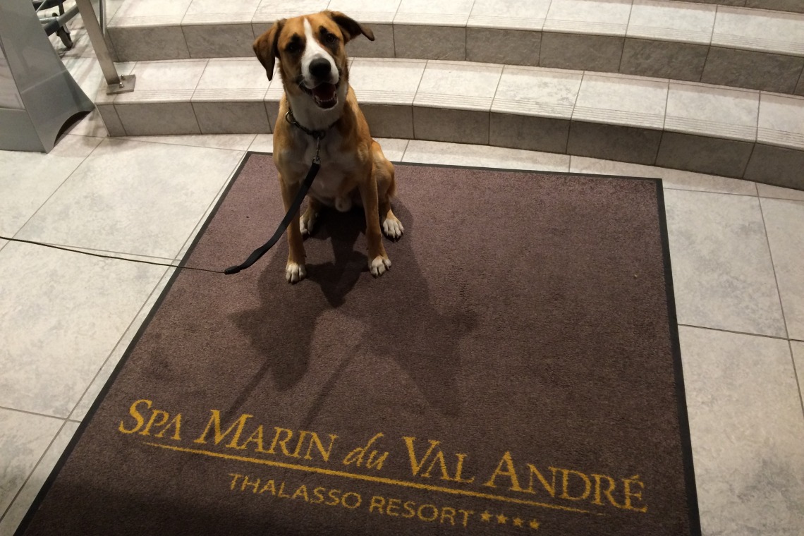 SPA Marin du Val André Thalasso Resort