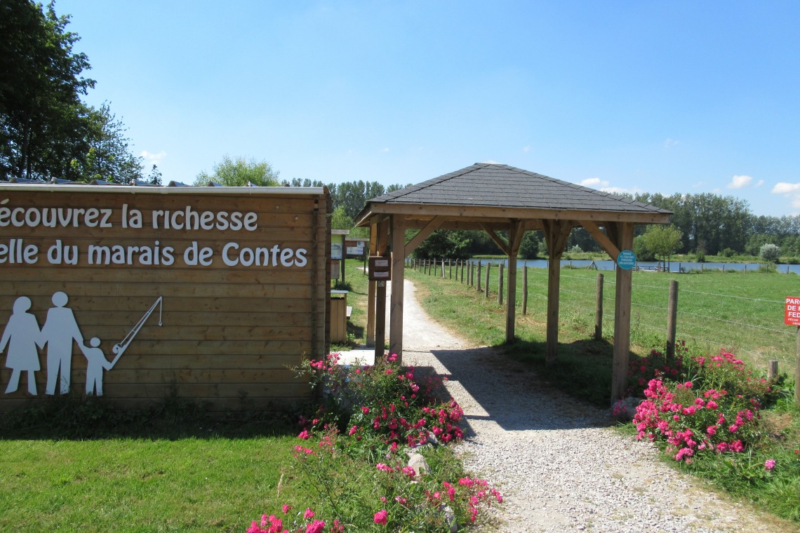 Le marais de Contes