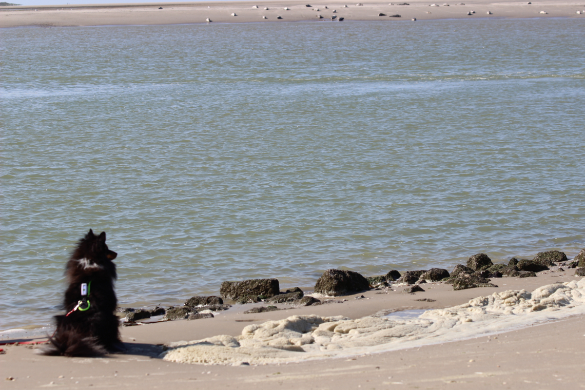 Plage de la Baie d’Authie