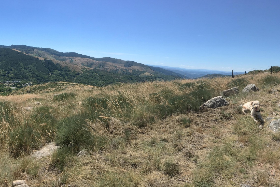 Randonnée Mont Aigoual