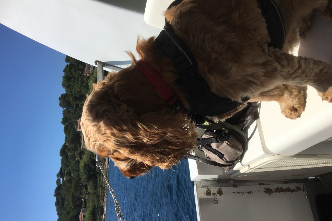 Bateau le Brigantin