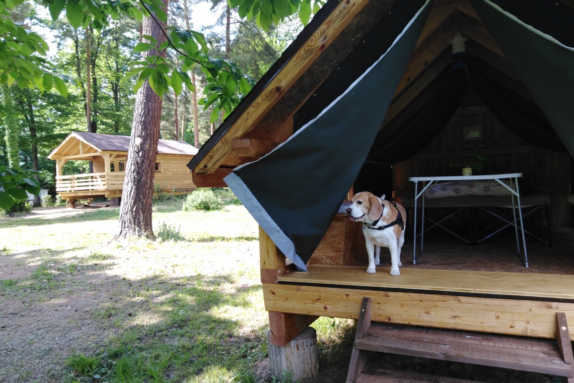 Camping Osenbach
