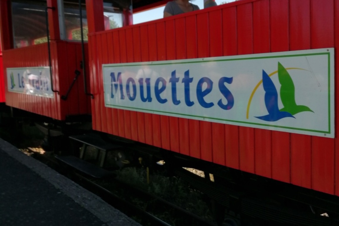 Le Train Des Mouettes