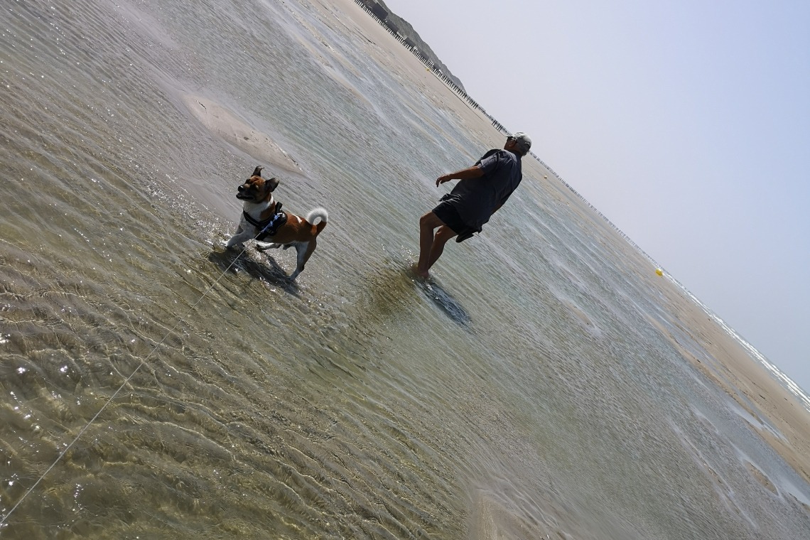 Plage des Ecardines à Oye-Plage
