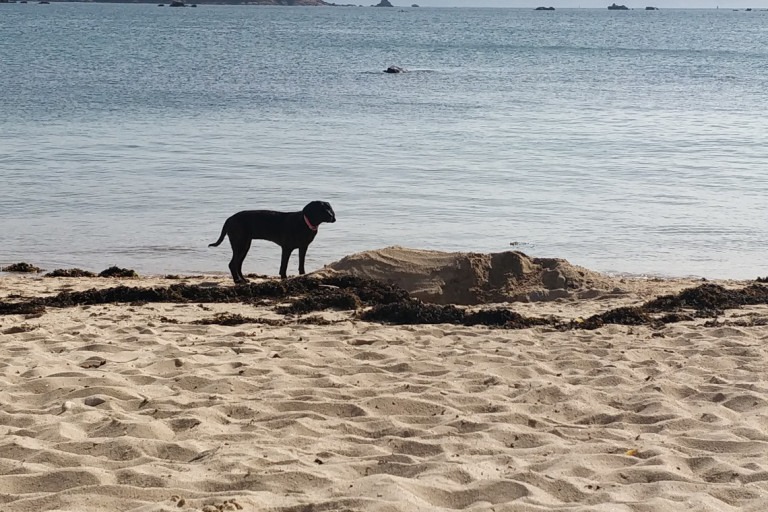 Plage de Toëno – photo 1