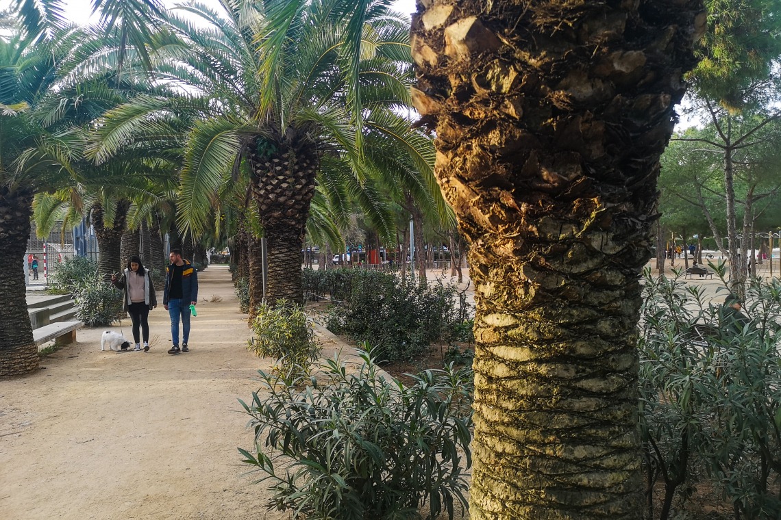 Parc de Joan Miró – Barcelone
